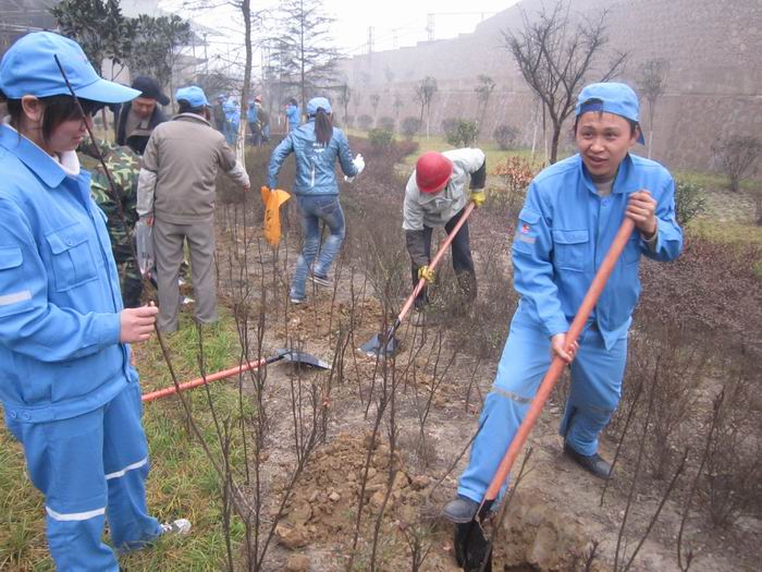 點擊查看放大圖
