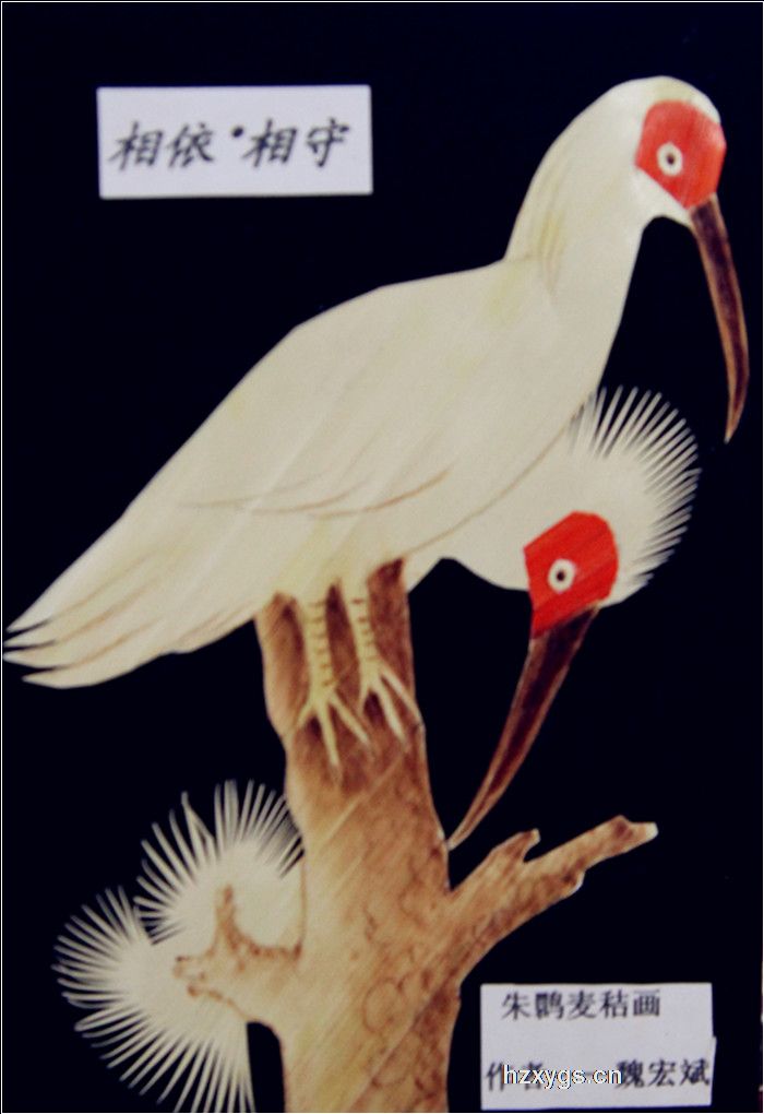 點擊查看放大圖